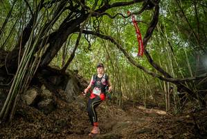 BIB: 
                            <button type="button" onclick="openModal(22178120)" class="btn btn-primary btn-sm float-right btn-popup" data-toggle="modal" data-target=".modal-high-quality">
                        <i class="fas fa-shopping-cart"></i> Add to Cart
                    </button>
                                            <button type="button" onclick="isThisMe(22178120, true)" class="btn btn-success btn-sm float-right btn-popup btn-isme hidden" data-toggle="tooltip" data-placement="bottom" title="นี่คือรูปของคุณใช่ไหม คลิกที่นี่เพื่อเอาเข้าอัลบั้ม">
                        <i class="fas fa-plus"></i> Add to album
                    </button>
                    <button type="button" onclick="isThisMe(22178120, false)" class="btn btn-warning btn-sm float-right btn-popup btn-isnotme hidden">
                        <i class="fas fa-ban"></i> Remove from album
                    </button>